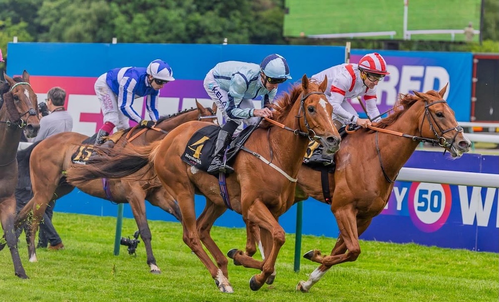 david o'meara entries stats trainer york